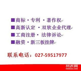 探析天江专利商标软件著作权与版权代理服务的专业路径